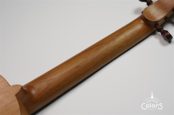 ukulele concert 14 FA.S